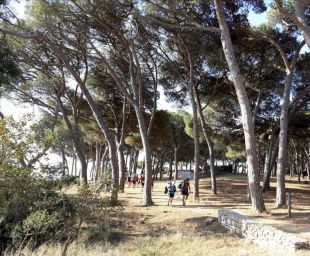 Entitats ecologistes denuncien que Palamós tramita projectes urbanístics polèmics durant l'estat d'alarma 