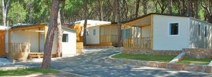 El càmping Illa Mateua de l'Escala fa un donatiu de 20.000 euros a Càritas