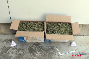 Dos detinguts a Maçanet de Cabrenys que volien entrar a França amb 9 quilos de marihuana al cotxe