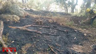 Es declara un foc en una zona de difícil accés a la zona del Puig d'en Xifre, a Palamós