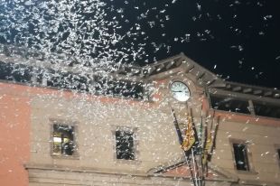 Després del coronavirus, ara una papallona pot impedir l'obertura de les terrasses a Ripoll