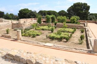 Els jaciments d'Empúries i Ullastret reobren després de dos mesos i mig tancats