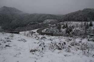La neu podria fer acte de presència en cotes baixes aquest cap de setmana