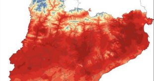 Es compleixen cinc anys de l'onada de calor que va deixar temperatures de fins a 43 graus