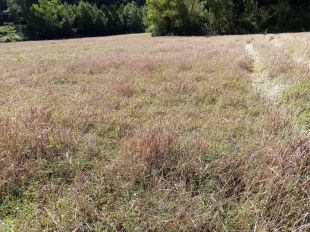 Unió de Pagesos alerta d'un ''mínim històric'' en la collita d'ordi a les comarques gironines