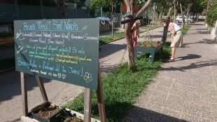 Girona posa en marxa una xarxa d’horts urbans al barri de Sant Narcís