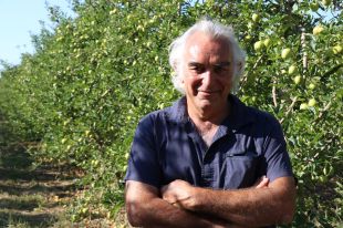 La recollida de la poma a Girona es farà amb un 90% de temporers gironins
