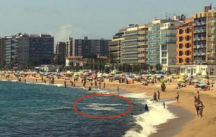 L'ACA conclou que les taques que esporàdicament suren davant la platja de Blanes són innòcues