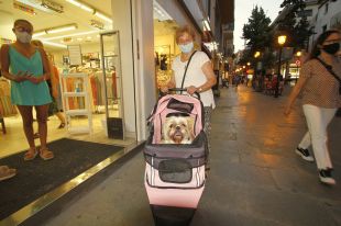 Blanes revisa l'ordenança de tinença d'animals que no s'ha modificat des de fa deu anys