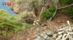 Els Bombers rescaten un gos cadell que havia caigut per un penya-segat a Tamariu
