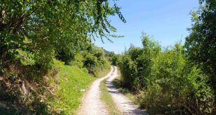 El Consell Comarcal del Ripollès destina més de 200.000 euros a pavimentar camins rurals
