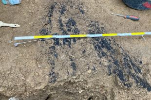 Apareixen restes d'eines i un fogar durant la campanya arqueològica de Sota Palou de Campdevànol