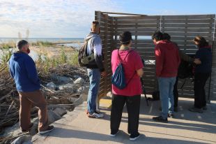 Blanes reclama més protecció pel delta de la Tordera després de l'augment d'espècies en aquest paratge
