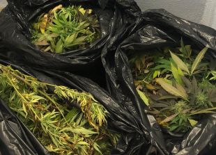 Detingut un conductor a Llagostera amb 14,8 quilos de marihuana al cotxe