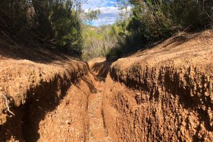El Grup de Natura Sterna denuncia la circulació de motos a la llera del Ridaura on hi ha espècies protegides