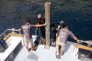Impulsen una ruta d'immersions per conèixer la biodiversitat de la Costa Brava