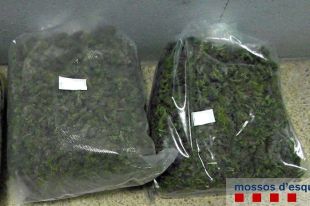 Tres detinguts a la Jonquera i Figueres per transportar prop de 5 kg de cabdells de marihuana al cotxe
