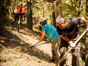 Més de 300 voluntaris han treballat aquest estiu per millorar els boscos del Pallars Sobirà i el Ripollès