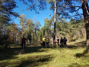 Els Bombers rescaten amb helicòpter un ciclista ferit en un bosc de Ripoll