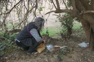 Els alimentadors de gats de carrer gironins denuncien agressions i amenaces constants