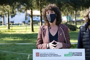 Teresa Jordà es presentarà com a candidata d'ERC per Girona a les eleccions del 14-F