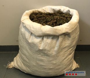 Detingut per dur 5,4 kg de cabdells de marihuana dins la furgoneta a Jafre