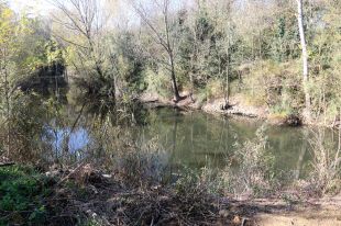 Girona recupera hàbitats naturals a les Deveses d'en Bru, un paratge de 32 hectàrees a tocar del Ter
