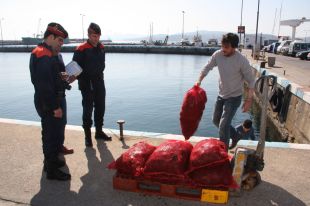 Augmenten els controls per lluitar contra els furtius i la venda il·legal de garoines a la Costa Brava