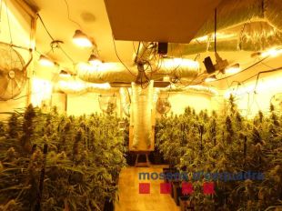 Dos detinguts per cultivar marihuana en una masia de Lloret de Mar