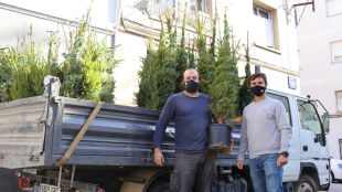 Un emprenedor gironí crea el primer web d’avets del Montseny-Guilleries per portar a domicili