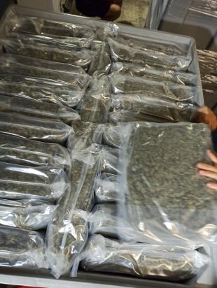 Descobreixen 1,4 tones de marihuana en camions de fruita i verdura al Pertús