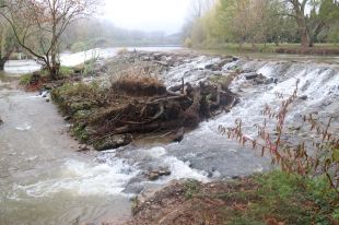 Agricultura inverteix 80.000 euros per tapar les fuites de la resclosa de Colomers