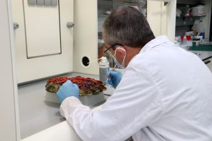 Salven d'un atac bacterià la base de 'La creu de l'àngel' de Dalí que s'estava degradant