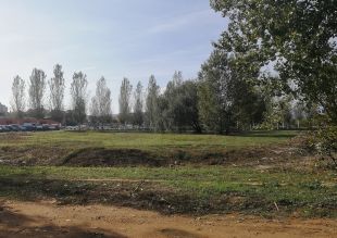 Salt aprova la cessió dels terrenys per a la construcció de l'Institut Salvador Sunyer