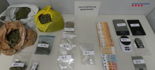 Quatre detinguts a Figueres per cultivar més de 700 plantes de marihuana en un habitatge