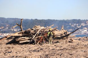 Comencen les cremes controlades de les restes del Glòria a les platges de l'Estartit 