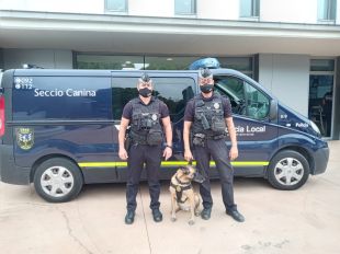 La Policia Local de Lloret de Mar incorpora tres gosses a la Unitat Canina