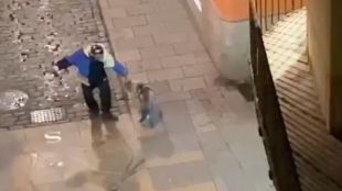La Policia Municipal de Girona demana la col·laboració ciutadana per identificar el maltractador d'un gos