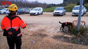 Busquen un home de 95 anys que ha desaparegut a Banyoles