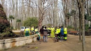 Girona actua en la millora i protecció d'espècies amenaçades a fonts i basses
