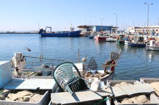 Roses projecta un 'hub' marítim sostenible al port que promogui la mobilitat elèctrica