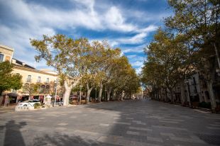 Figueres separarà per Sant Jordi els professionals i les entitats en dos espais