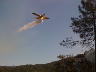 Un incendi a les Gavarres crema prop de 7 hectàrees en poc més de dues hores