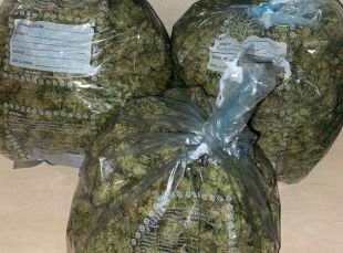 Dos detinguts a Castelló d'Empúries que duien 700 grams de marihuana al cotxe