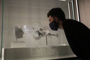 El CaixaForum de Girona s'endinsa en els secrets de creació de les pel·lícules de Pixar