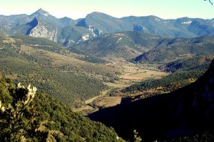 Els propietaris forestals porten al TSJC el Pla de protecció de l'Alta Garrotxa