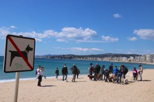 Uns 30 veïns de Palamós es manifesten amb els seus gossos reclamant una platja per ells