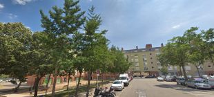 Girona inicia la segona fase del pla per substituir l'arbrat d'espècies exòtiques invasores