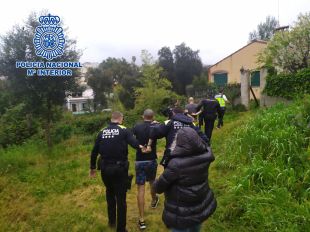 Dos detinguts per cultivar més de 600 plantes de marihuana en un xalet de Calonge