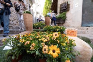 Girona adjudica el subministrament de plantes i materials per a Temps de Flors
